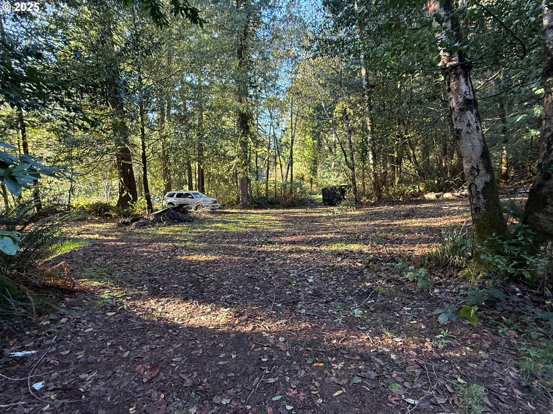 Tiernan Road, Unit 100 Mapleton, OR 97453 - Photo 5 of 10