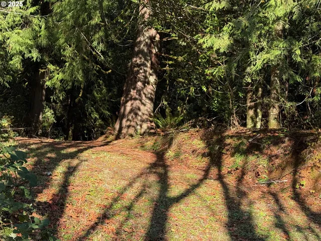 $125,000 | Tiernan Road, Unit 100, Mapleton, OR 97453