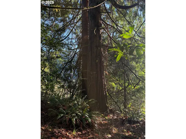 $125,000 | Tiernan Road, Unit 100, Mapleton, OR 97453