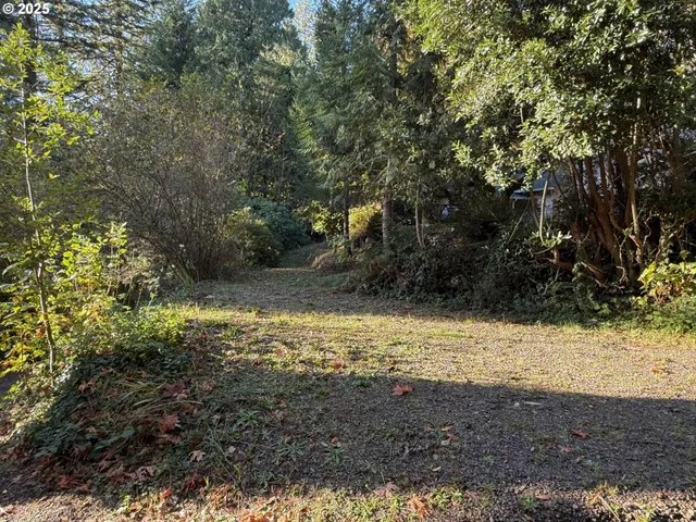 $125,000 | Tiernan Road, Unit 100, Mapleton, OR 97453