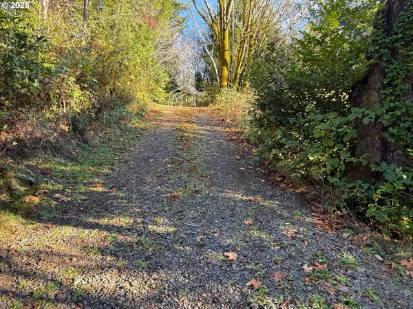 $125,000 | Tiernan Road, Unit 100, Mapleton, OR 97453