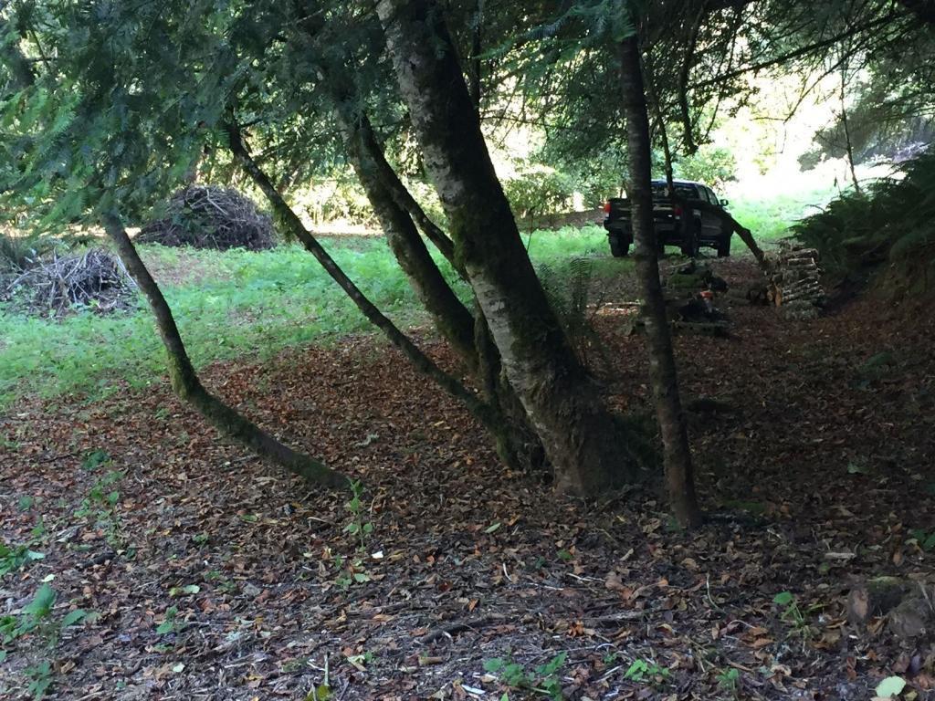 0 Puddin Lane Hydesville, CA 95547 - Photo 10 of 15