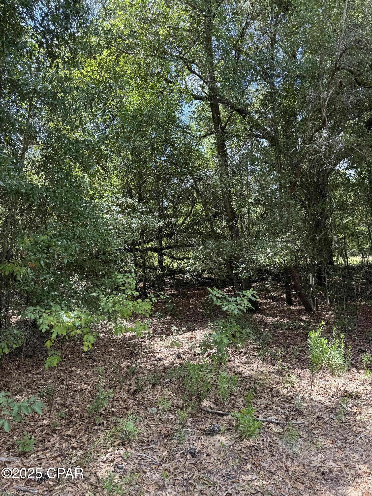 248 Ball Park Road Alford, FL 32420 - Photo 41 of 49