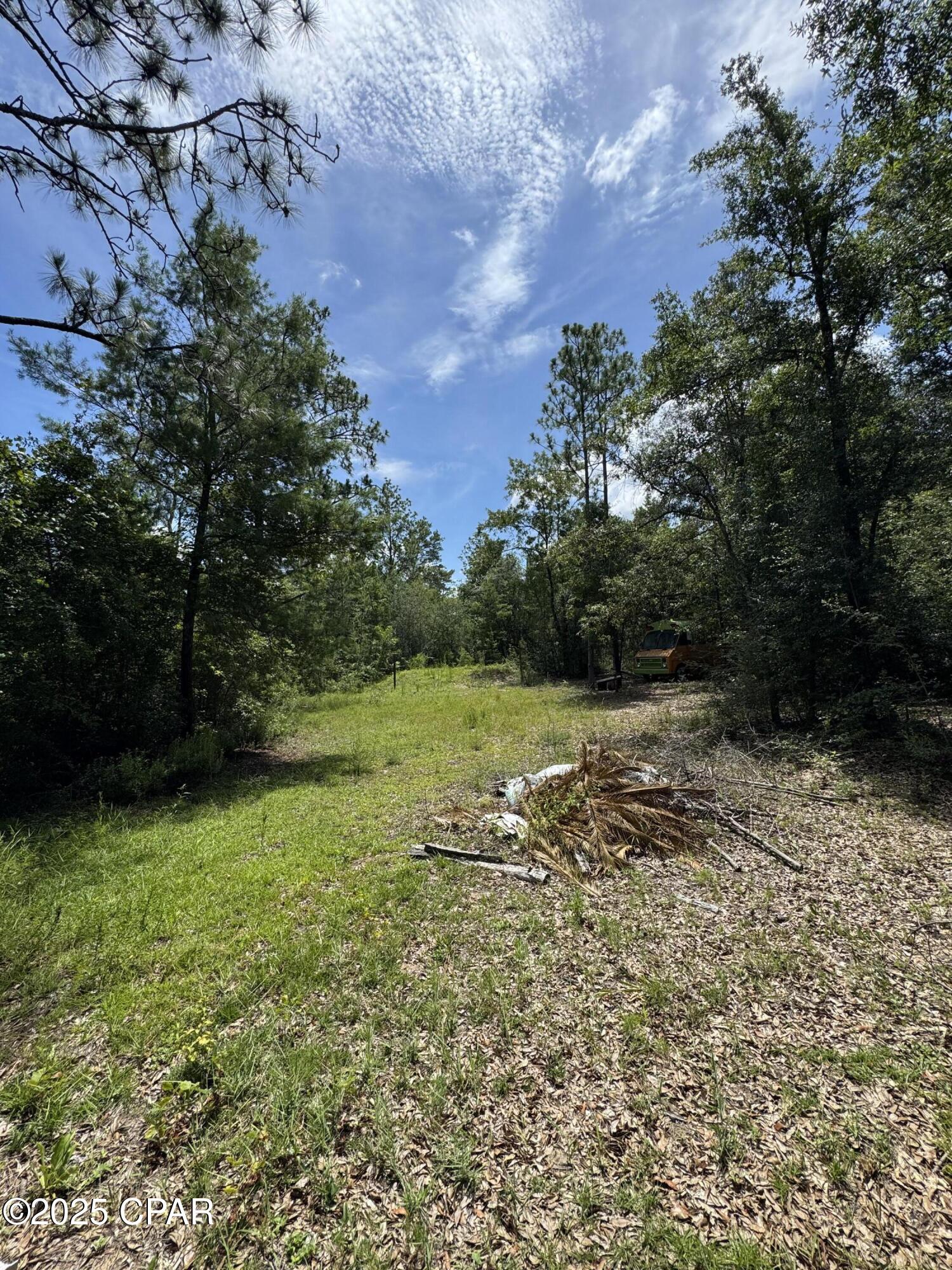 248 Ball Park Road Alford, FL 32420 - Photo 43 of 49