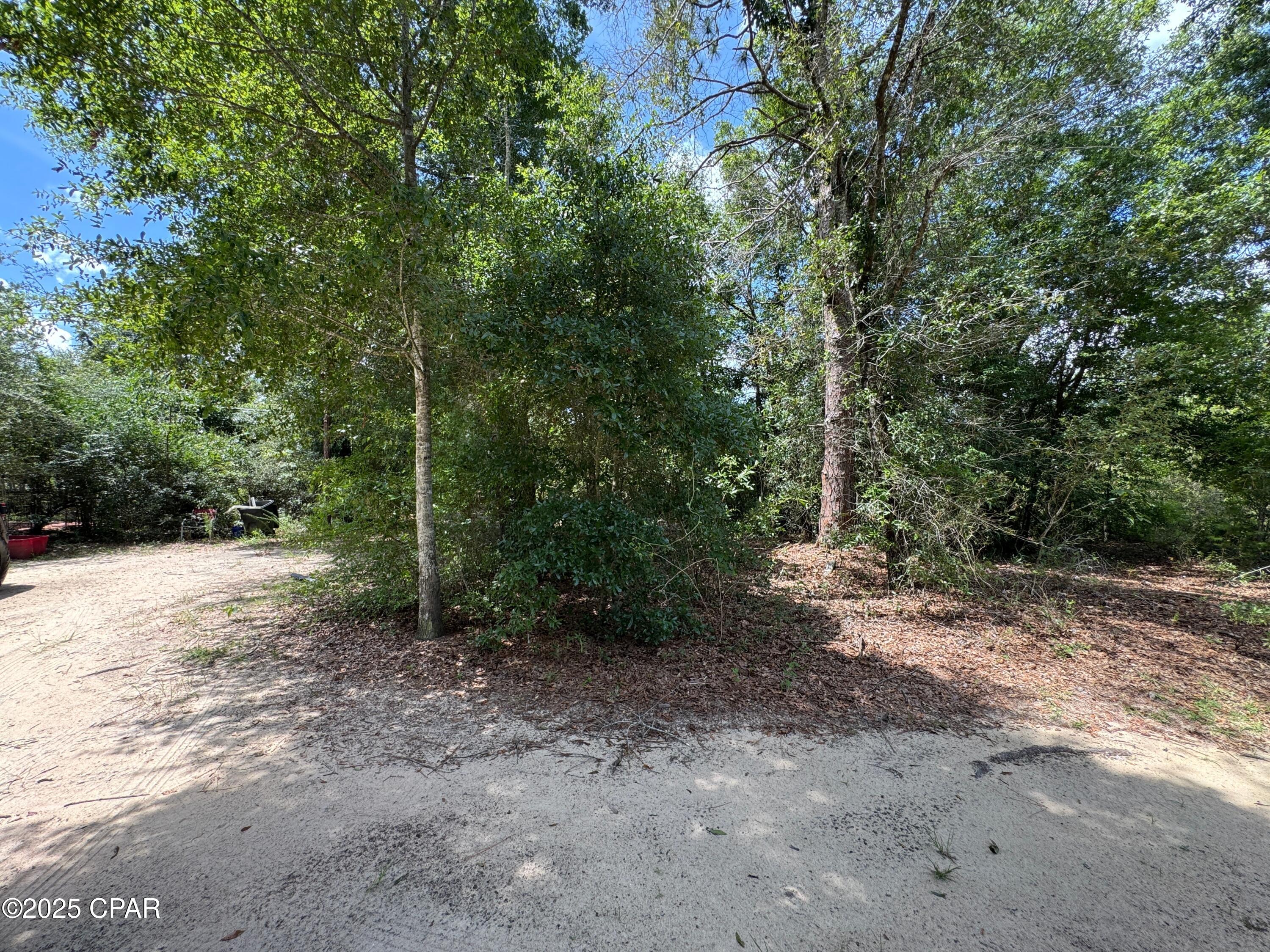 248 Ball Park Road Alford, FL 32420 - Photo 44 of 49