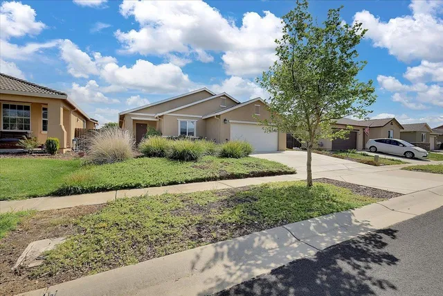 a front view of a house with a yard and trees