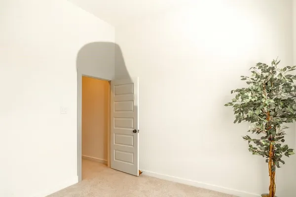 a view of a room with a tree