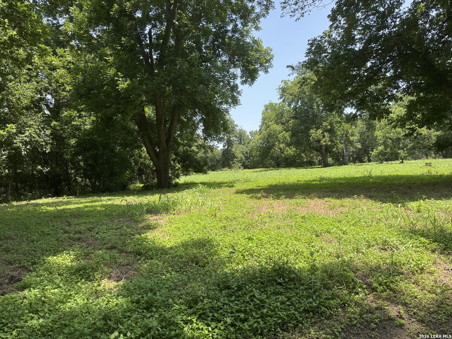 0 B & B Road Seguin, TX 78155 - Photo 10 of 38