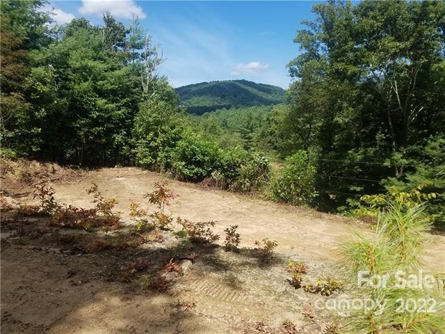 43 Lone Coyote Ridge, Unit B3 Fletcher, NC 28732 - Photo 6 of 6 Gallery Image 6