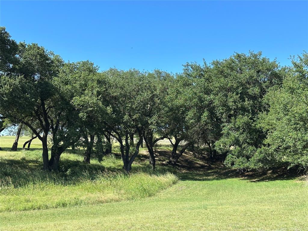 581 Comanche Lake Road Comanche, TX 76442 - Photo 5 of 33