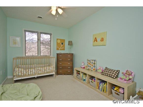 205 Laurel Ridge Road Asheville, NC 28805 - Photo 15 of 20 Gallery Image 15