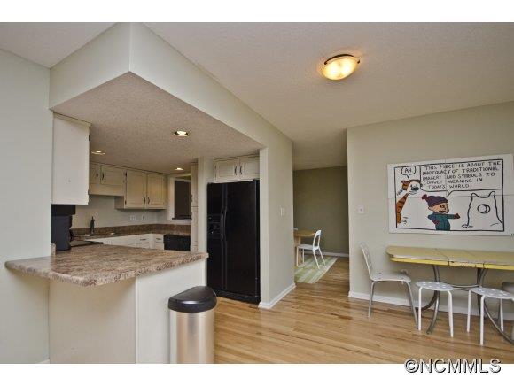 205 Laurel Ridge Road Asheville, NC 28805 - Photo 10 of 20 Gallery Image 10