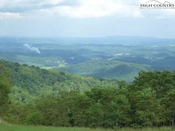 a view of a big yard with lots of green space