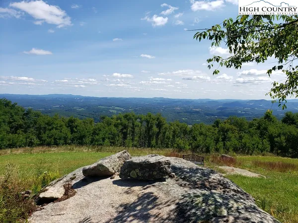 a view of a green field