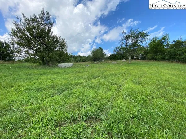 a view of a bunch of trees in a field