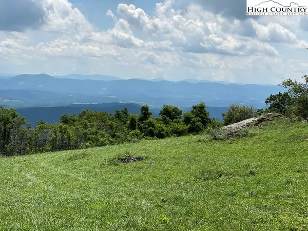a view of a green field with lots of bushes