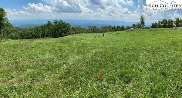 a view of a field with an ocean view