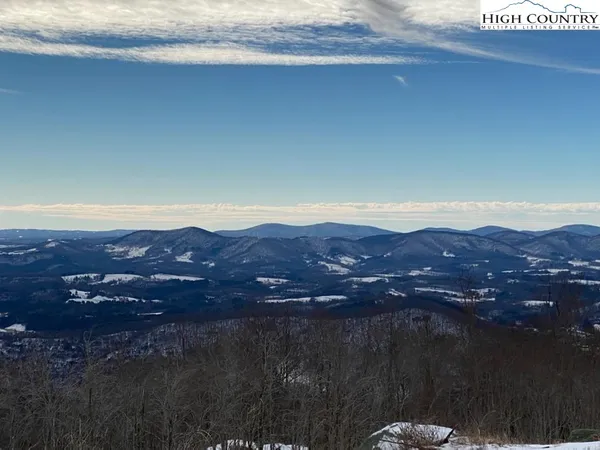 a backyard of field and trees