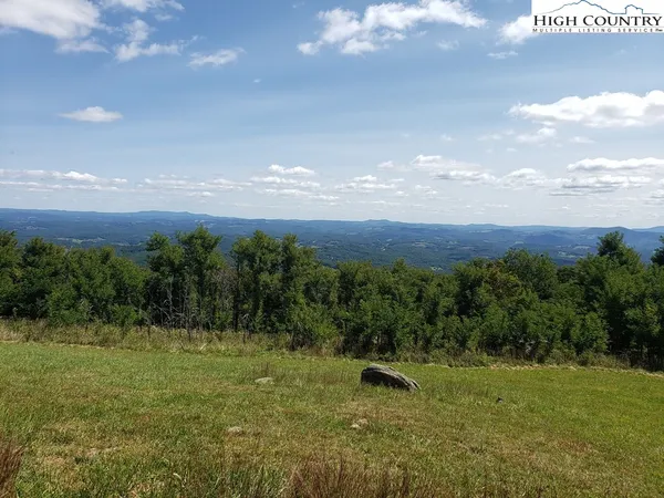 a view of a big yard with lots of green space and mountain view in back