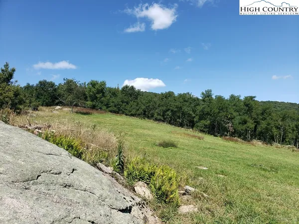 a view of a city with lush green forest