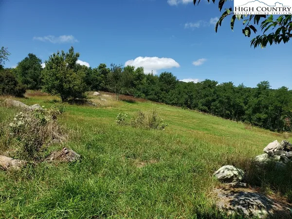a view of a backyard with a garden