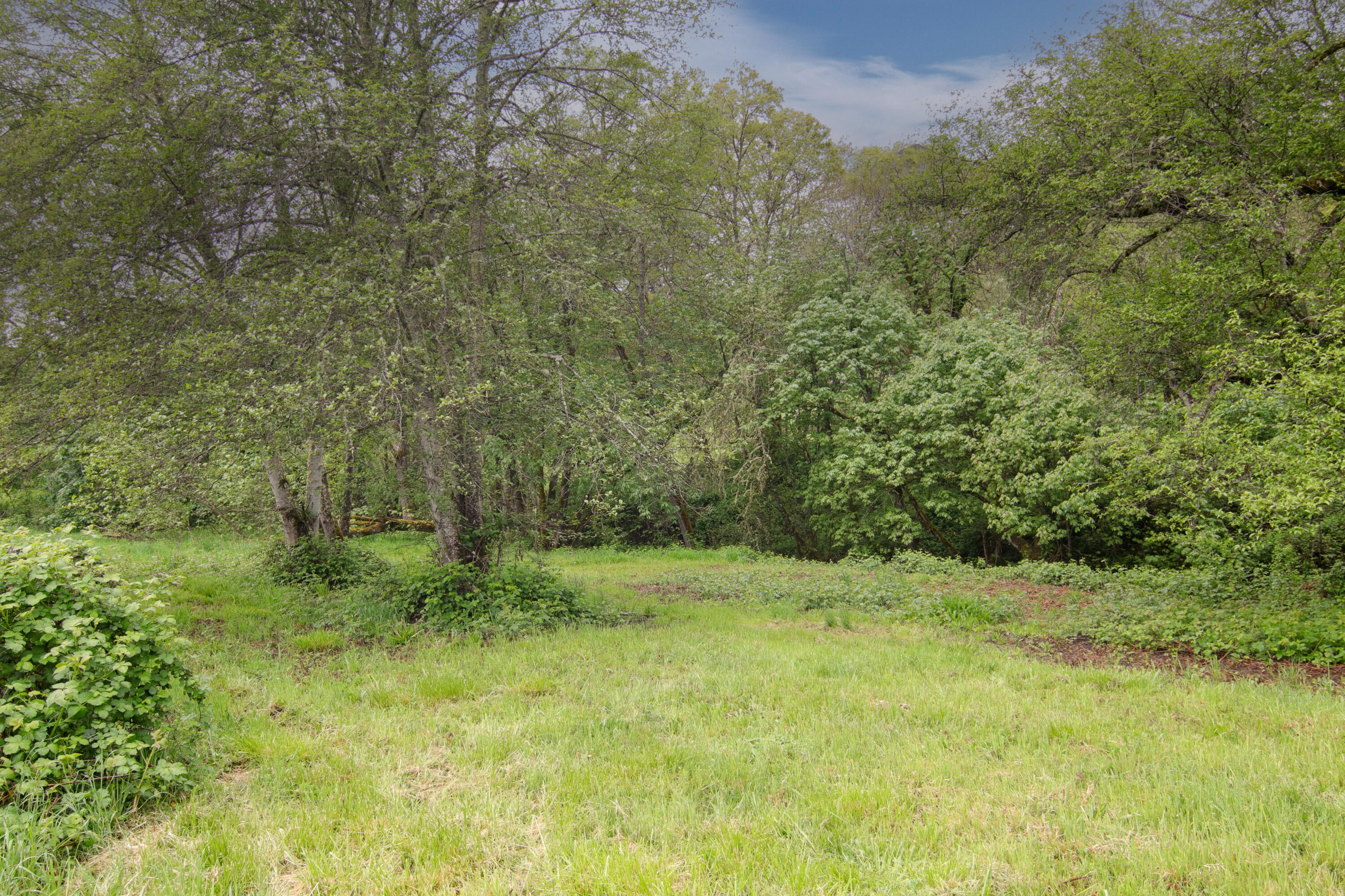 2661 Wards Creek Road Rogue River, OR 97537 - Photo 13 of 15 a view of a lush green space