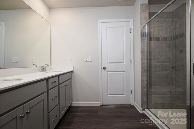 a bathroom with a sink a shower and a mirror