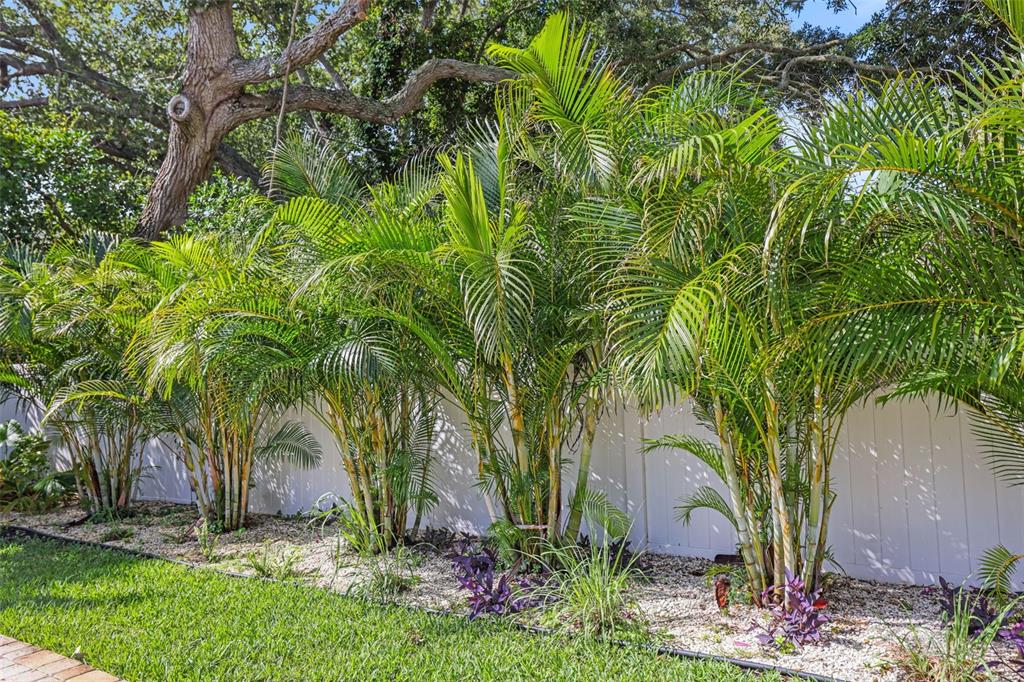 1701 Indian Rocks Road Belleair, FL 33756 - Photo 62 of 78 Gallery Image 62