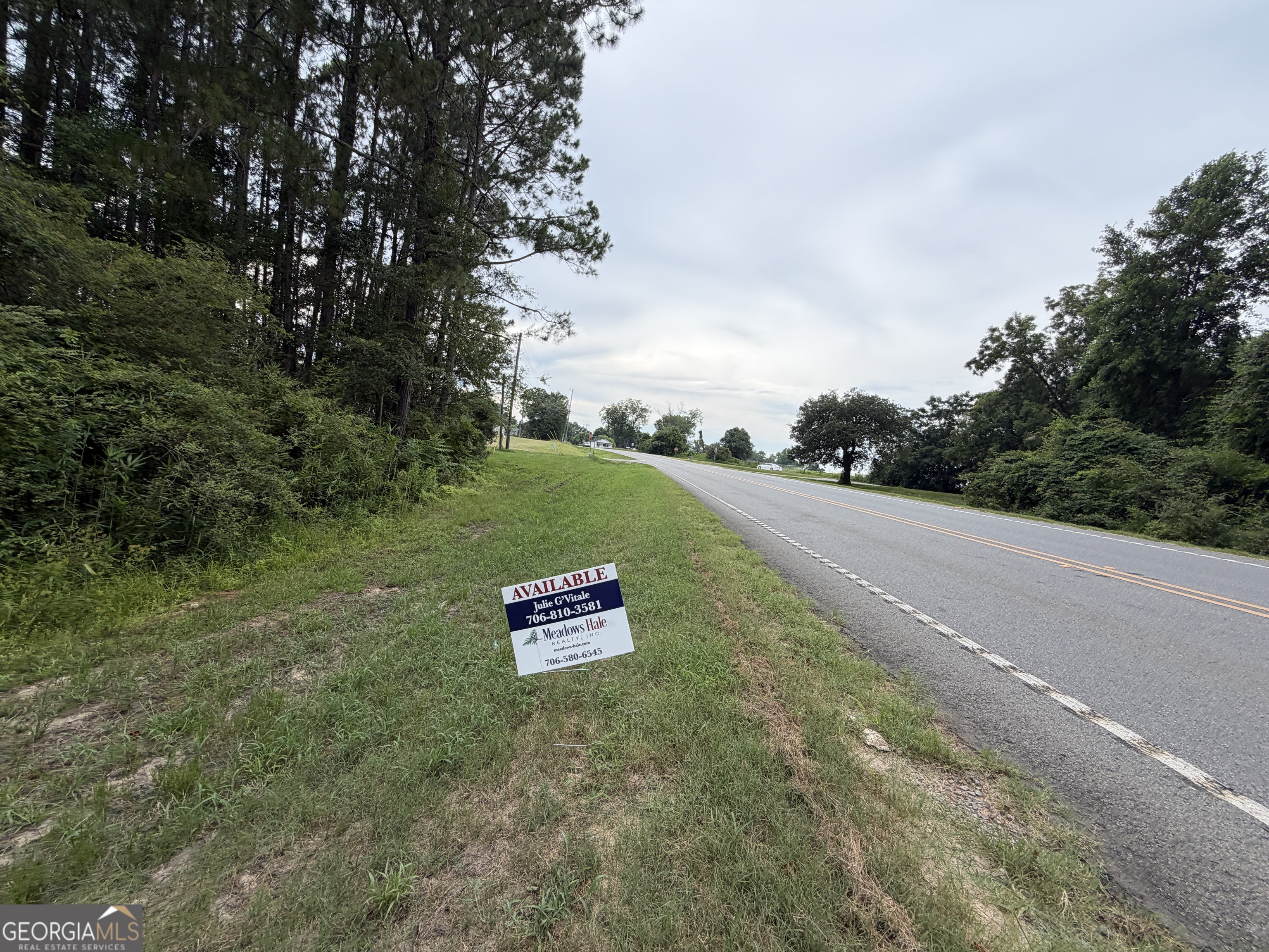 77-acre 77-acre Leary North Road Ashburn, GA 31714 - Photo 5 of 11