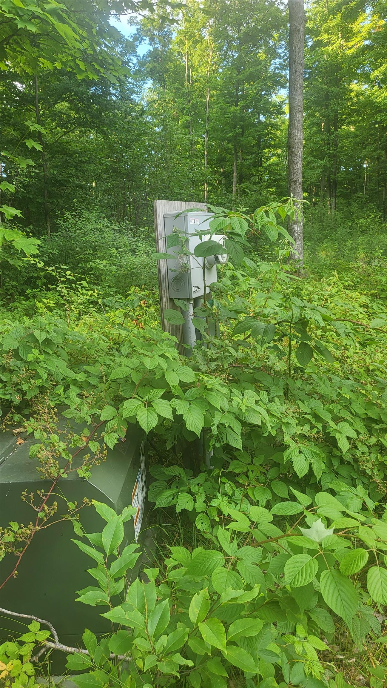 10389 West Four Road Mesick, MI 49668 - Photo 22 of 24 Gallery Image 22