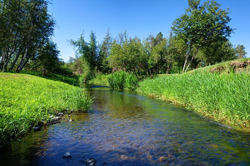 28216 North Monroe Road Deer Park, WA 99006 - Photo 2 of 20 Gallery Image 2