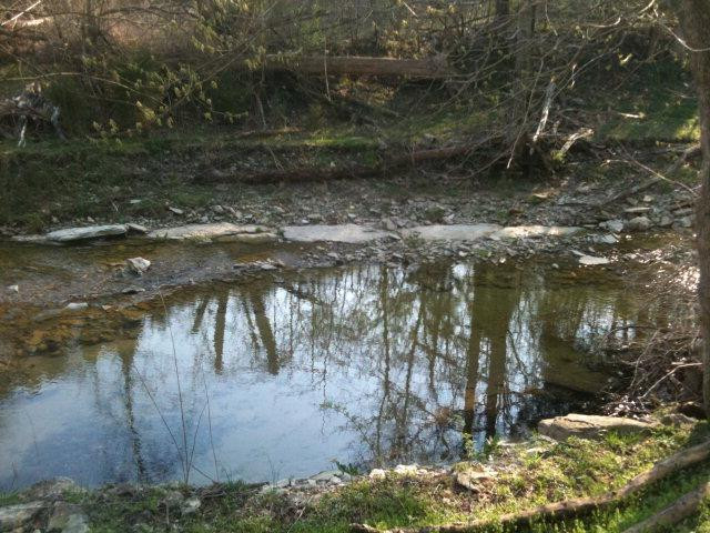 797 Stoney Run Road Richmond, KY 40475 - Photo 15 of 34 Photo 15