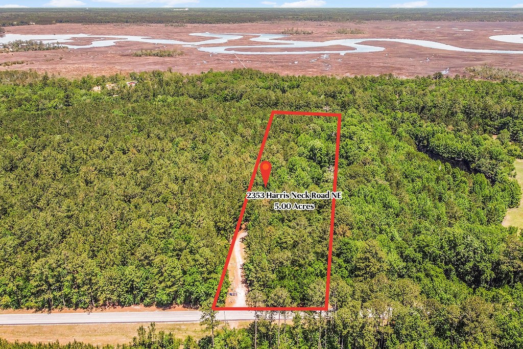 2353 Harris Neck Road Townsend, GA 31331 - Photo 2 of 50
