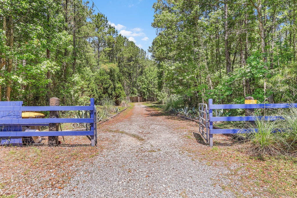 2353 Harris Neck Road Townsend, GA 31331 - Photo 3 of 50