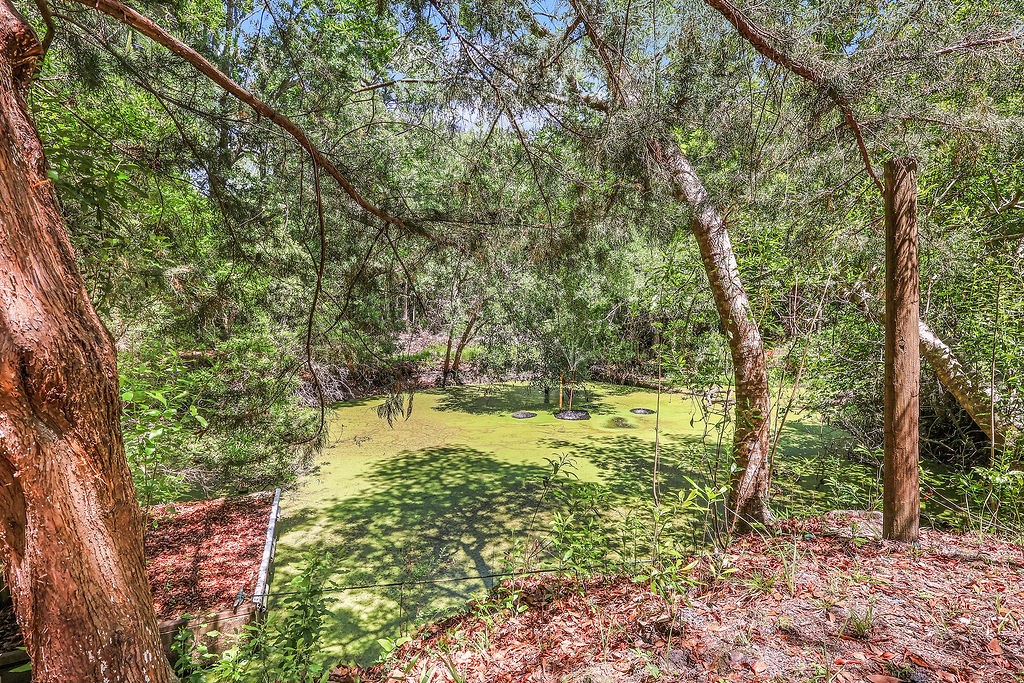 2353 Harris Neck Road Townsend, GA 31331 - Photo 40 of 50