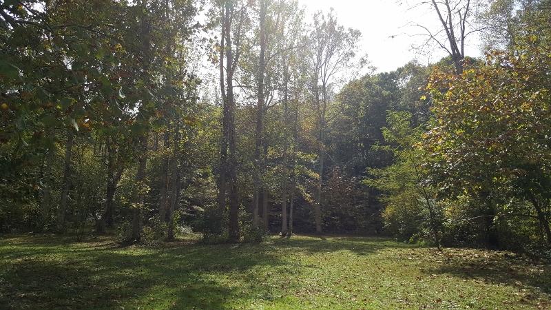 1035 Fishburn Mountain Road Rocky Mount, VA 24151 - Photo 12 of 47 Park-Like Setting to Creek