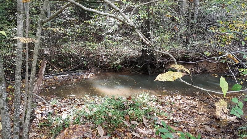 1035 Fishburn Mountain Road Rocky Mount, VA 24151 - Photo 15 of 47 Bold Creek