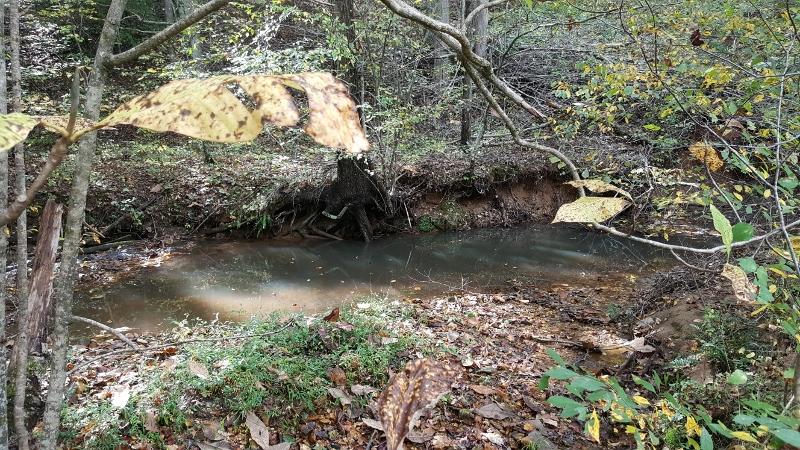 1035 Fishburn Mountain Road Rocky Mount, VA 24151 - Photo 16 of 47 Bold Creek at Rear of Property