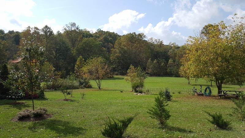 1035 Fishburn Mountain Road Rocky Mount, VA 24151 - Photo 3 of 47 Beautiful Country Setting!