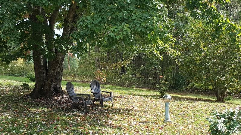 1035 Fishburn Mountain Road Rocky Mount, VA 24151 - Photo 5 of 47 Peaceful Setting!