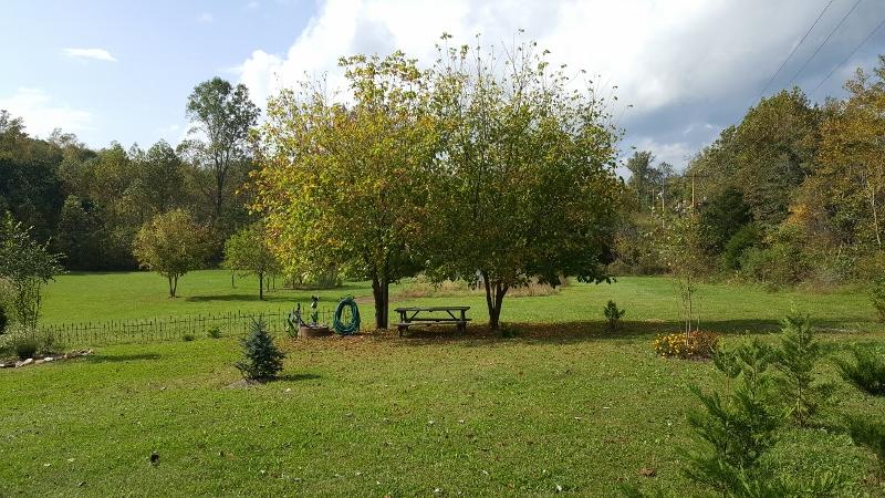 1035 Fishburn Mountain Road Rocky Mount, VA 24151 - Photo 44 of 47 Peaceful Country Setting