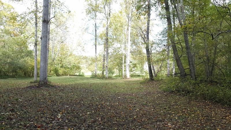 1035 Fishburn Mountain Road Rocky Mount, VA 24151 - Photo 46 of 47 Acreage to Creek