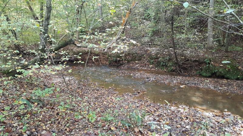 1035 Fishburn Mountain Road Rocky Mount, VA 24151 - Photo 47 of 47 Bold Creek
