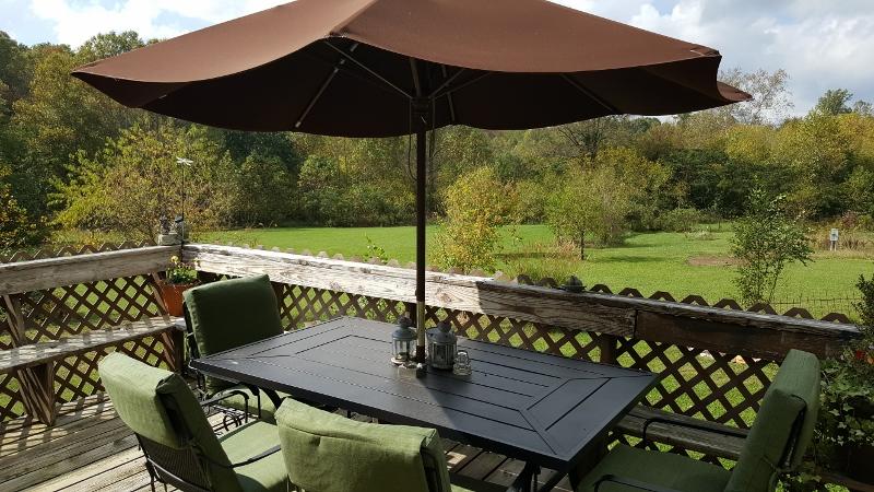 1035 Fishburn Mountain Road Rocky Mount, VA 24151 - Photo 6 of 47 Large Deck - Great for Entertaining!
