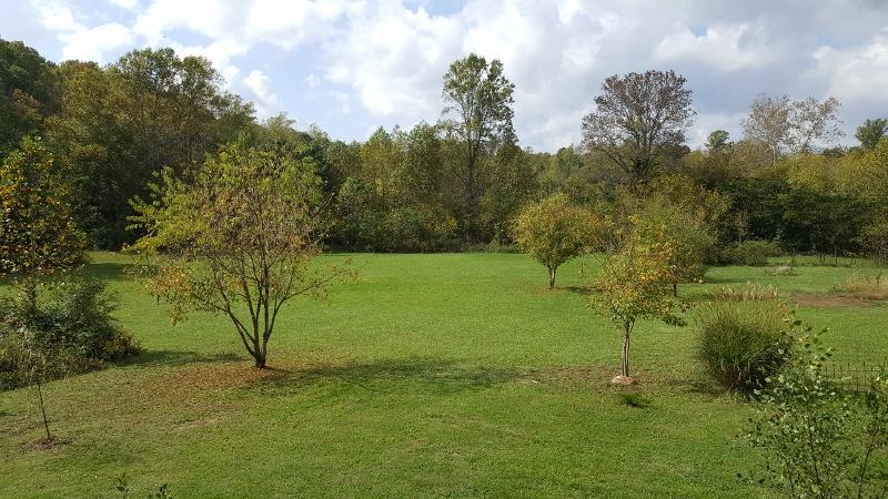 1035 Fishburn Mountain Road Rocky Mount, VA 24151 - Photo 8 of 47 Level, Usable Acreage