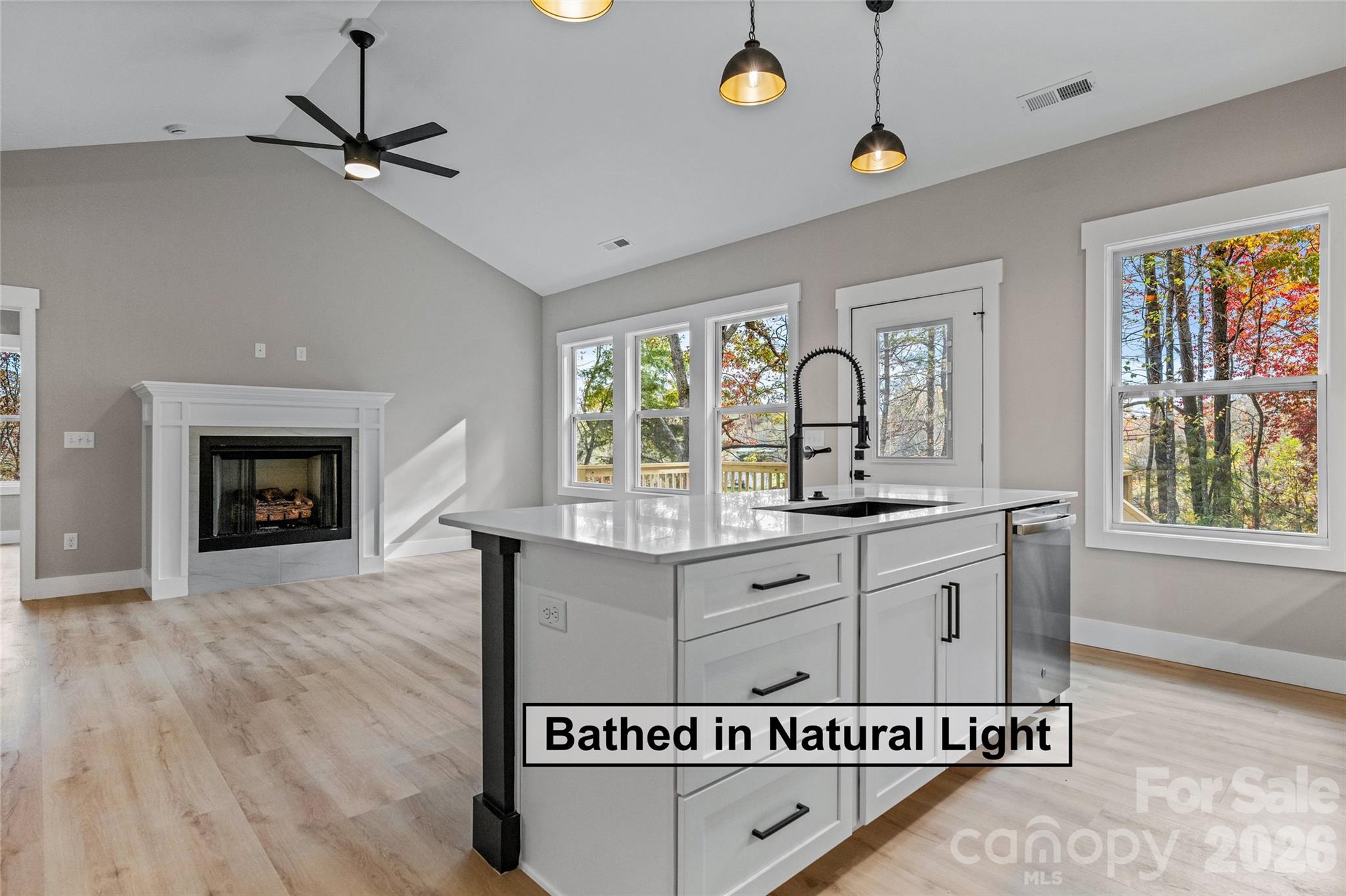 459 Waters Road Hendersonville, NC 28792 - Photo 24 of 48 Gallery Image 24