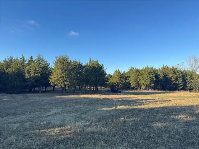 a view of a field with trees in the background
