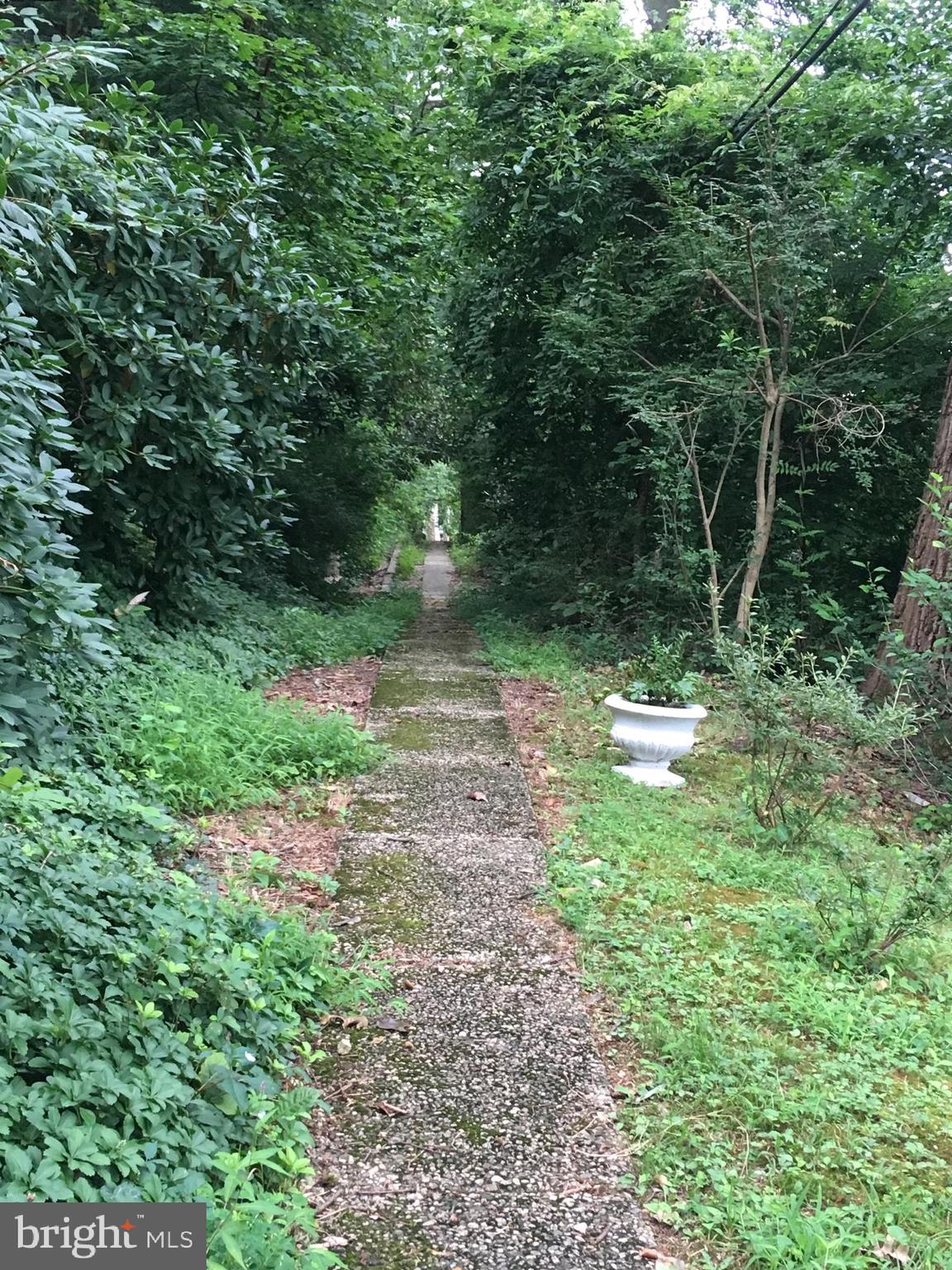 5407 Falls Rd Terrace Baltimore, MD 21210 - Photo 63 of 65 Access to one of many Roland Park walking paths!