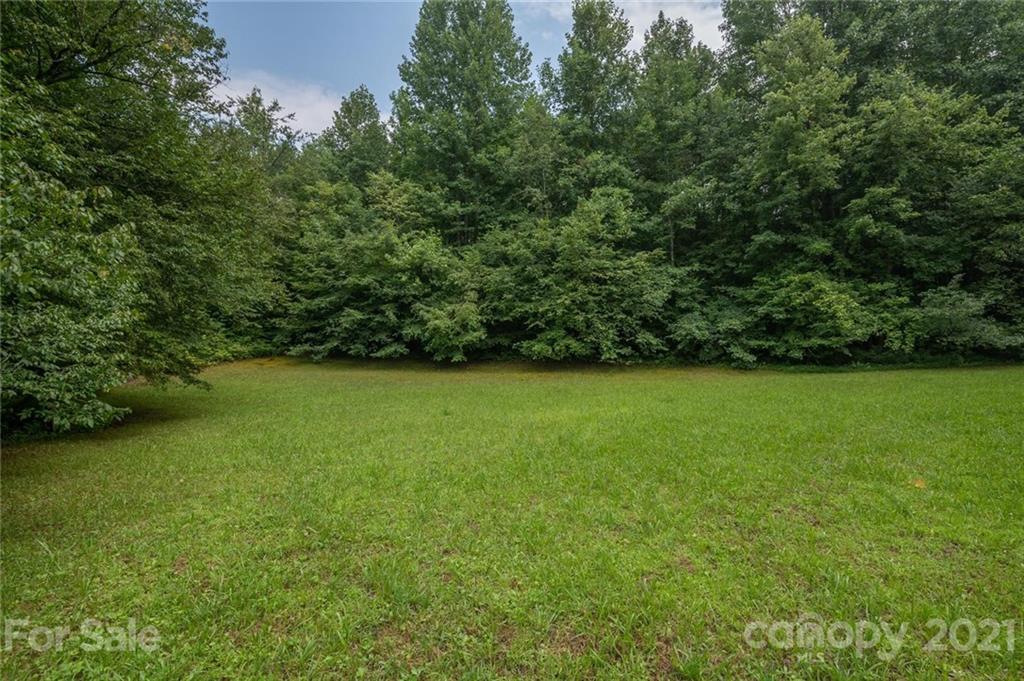 452 Walker Road Columbus, NC 28722 - Photo 2 of 27 Gallery Image 2