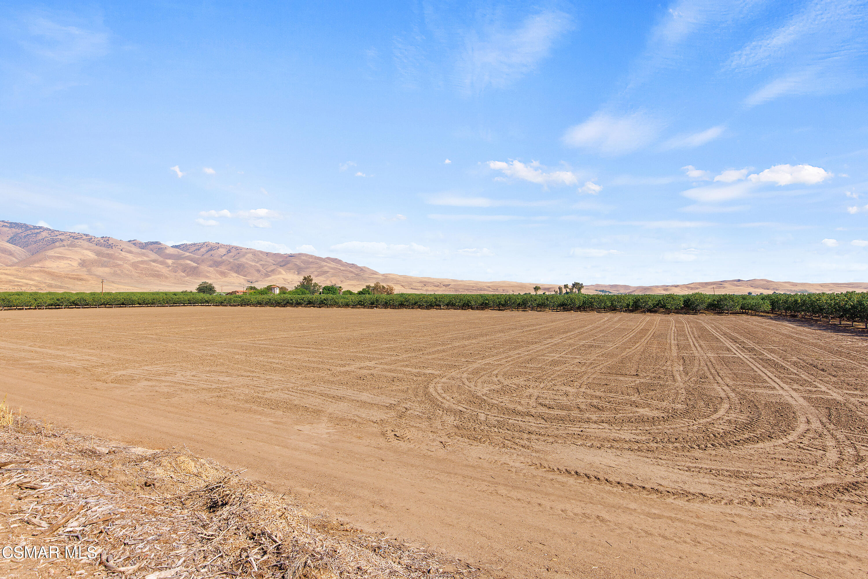 Tejon Highway Arvin, CA 93203 - Photo 7 of 7 E Solar 1MW aka '800 pistachios'